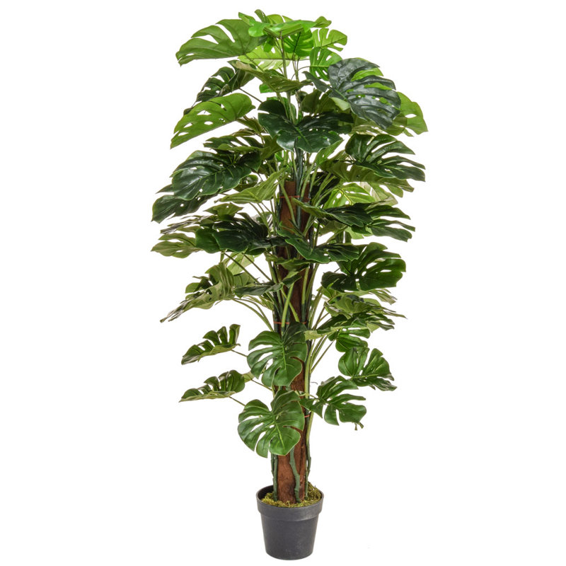 Faux Evergreen Tree in Pot Liner, 150cm H x 90cm W x 90cm D