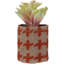 4,75 plantes