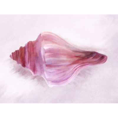 " Conch Shell Blush I "
