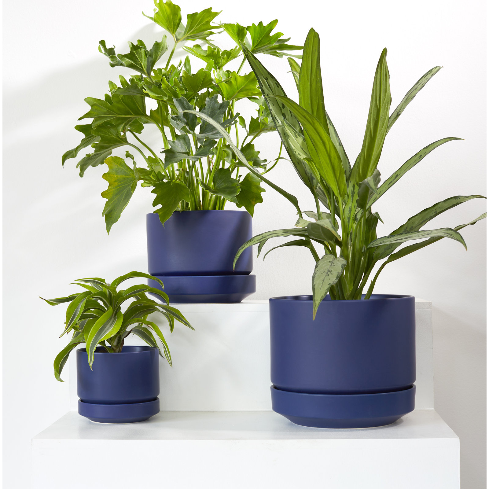 Byer 10" Ceramic Pot Planter, 4.25" H x 5" W x 5" D, Blue