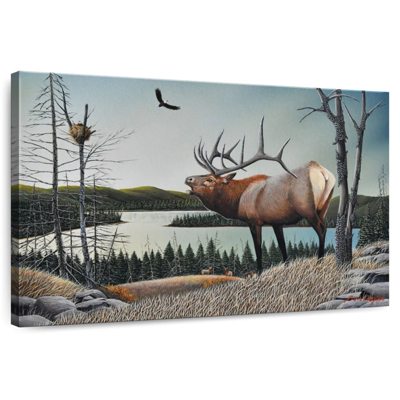Brampt Bugling Elk, 32" H x 48" W