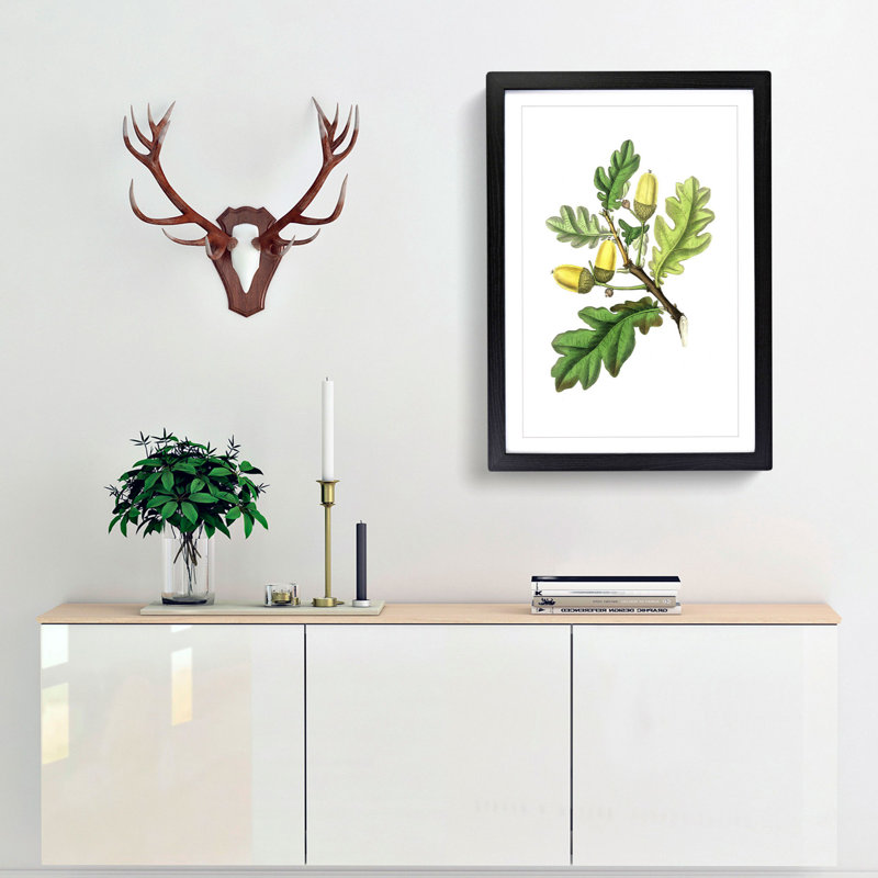 English Oak Tree Illustration - Picture Frame Painting Print, 48cm H x 36cm W x 2cm D, Black Framed