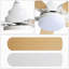 Ventilateur de plafond 42 pouces avec 5 pales, moteur CC réversible silencieux, télécommande et lumière DEL-183762888-183762889