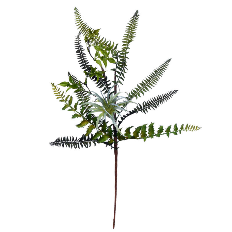 Fern Arrangement