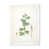 White Picture Frame