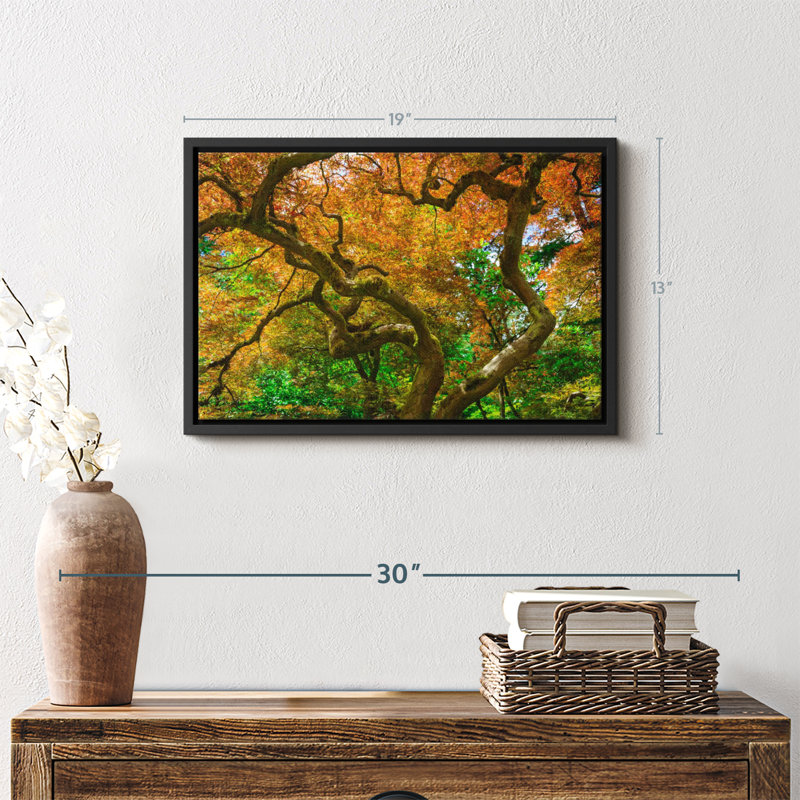 «Mossy Maple Tree», reproduction sur toile, H 13 po x l 19 po