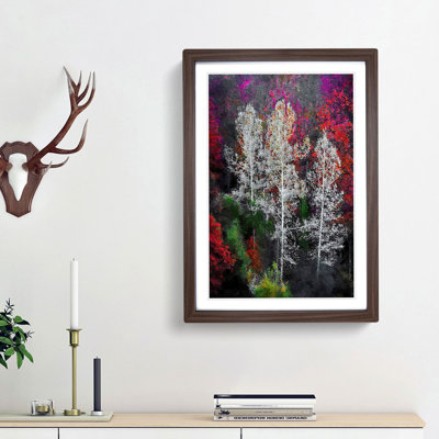 Autumn Trees in Switzerland - Framed Print