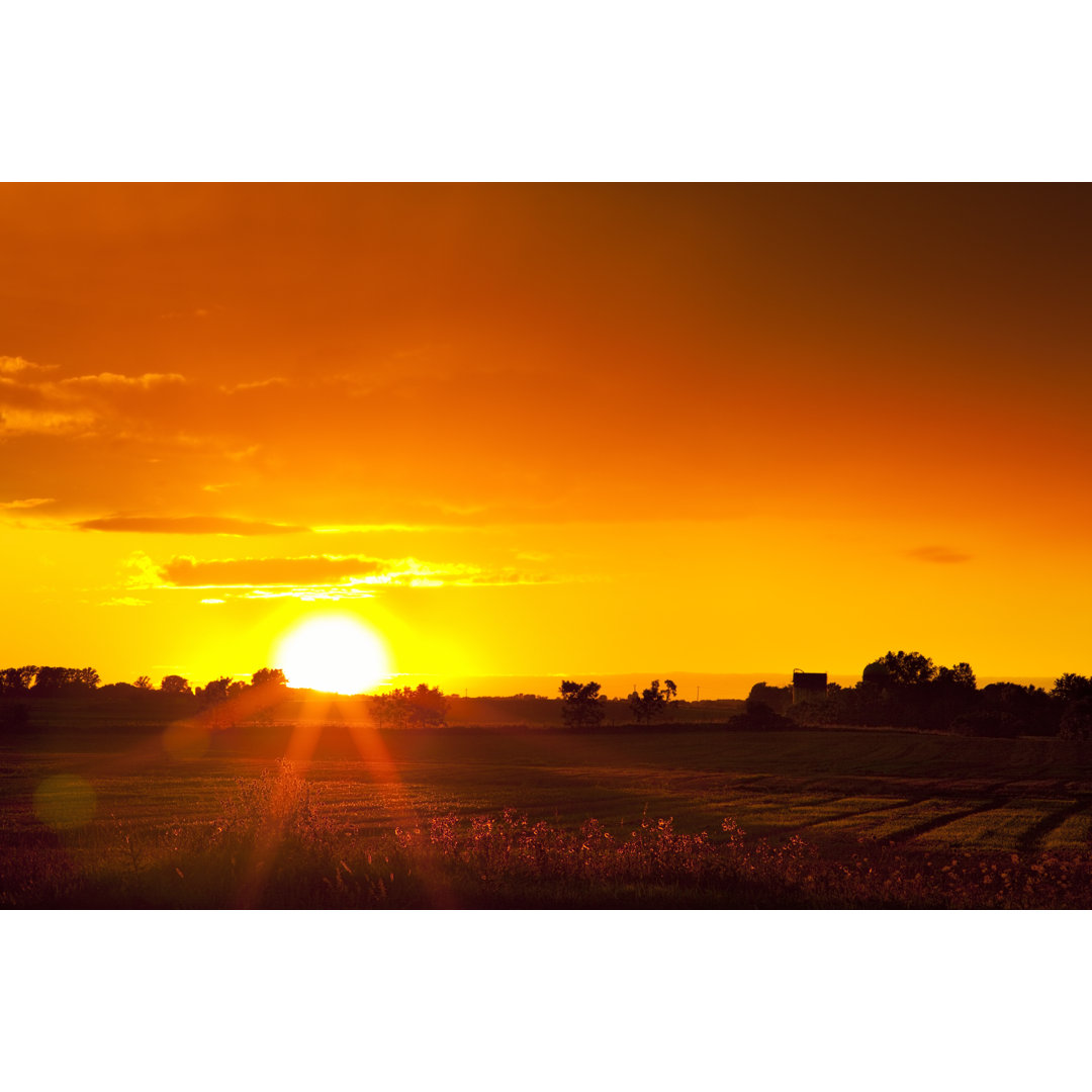 Sonnenuntergang im ländlichen Mittleren Westen von JamesBrey - Leinwanddrucke