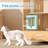 Solid Wood Cat House with Hidden Wire Duct & Integrated Litter Box