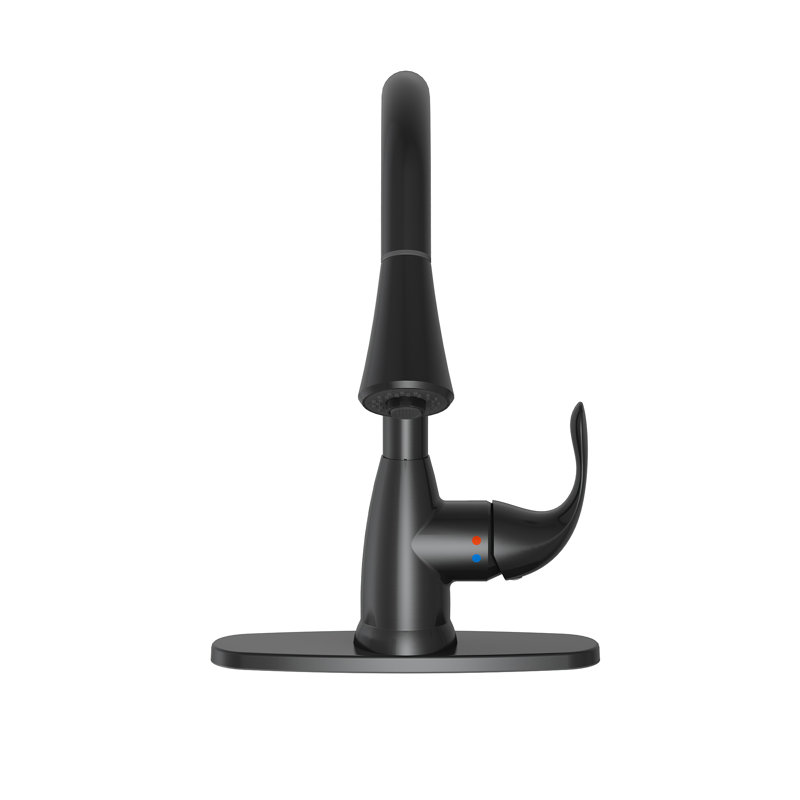 Vetta Pull Down Kitchen Faucet, Matte Black