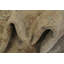 Tapis de couloir traditionnel 3 x 20