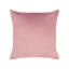 Aleeccia Square Cushion