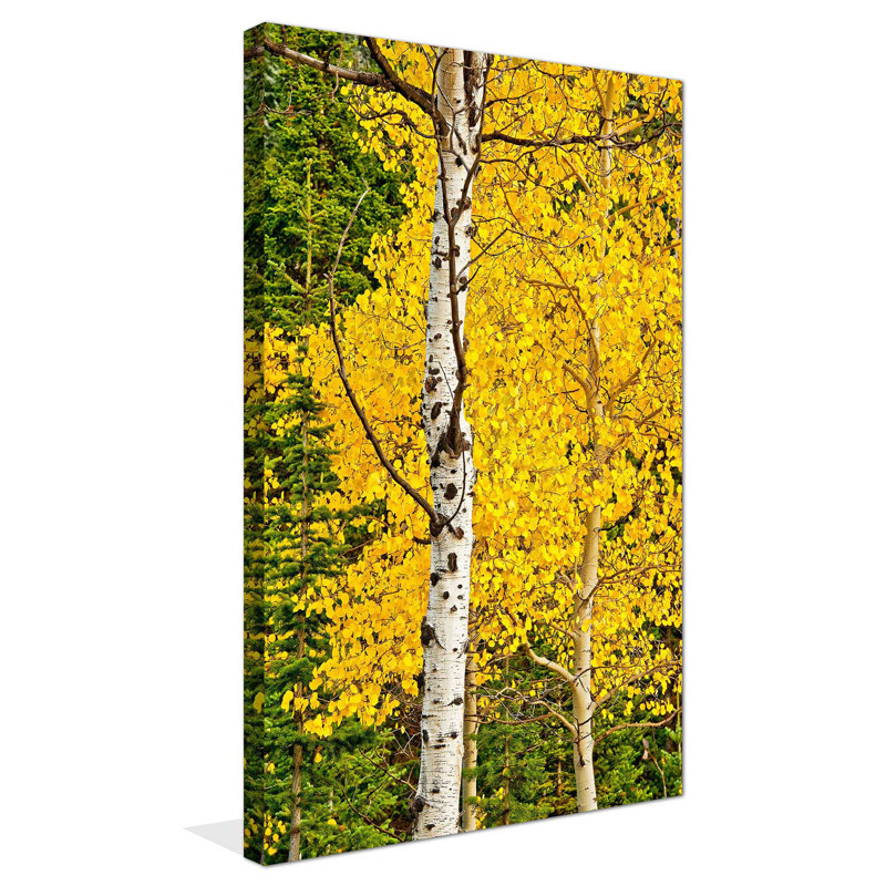 «Sunny Blooms», reproduction de photo, H 30 po x l 18 po x P 1 po, Toile tendue