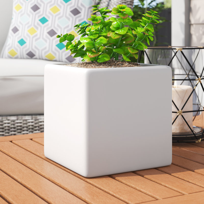 Boîte à fleurs carrée en céramique Lonsdale, H 7 po x l 7 po x P 7 po, Blanc