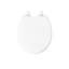 Brevia Toilet Seat with Quick-Release Hinges and Grip-Tight Bumpers-613614078-559542288