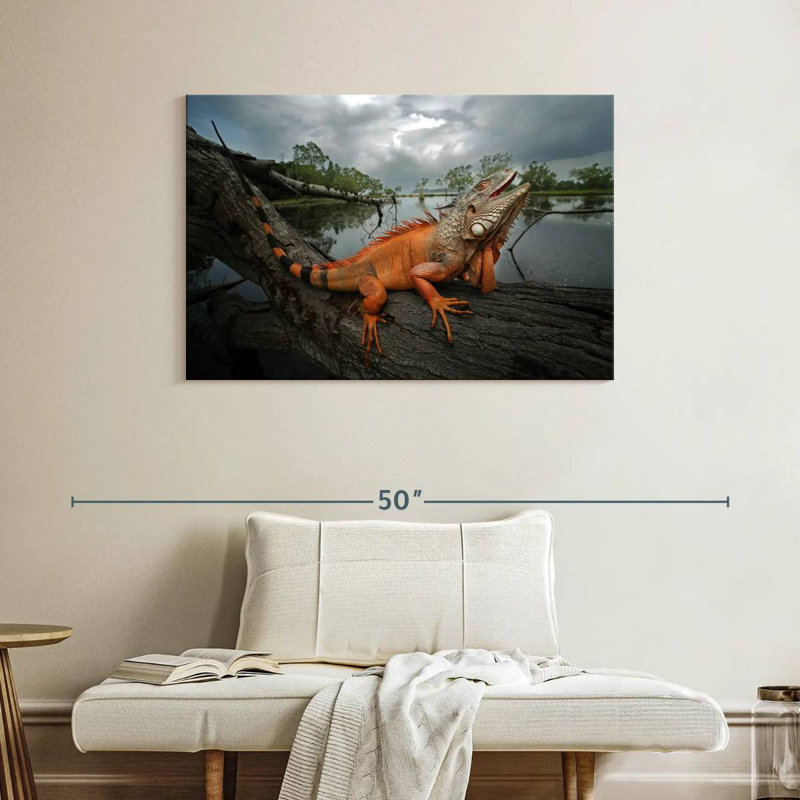 Iguane ronce orange