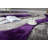 Thionville Shag Purple/Grey Shag Area Rug-1037222759
