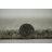 Payne Hand Tufted Wool Indoor Rug