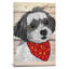 Max, le havanais, impression sur toile tendue-20179681-72696094-72696097