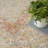 Nourison Essentials Persian Beige/Rust Indoor/Outdoor Area Rug-789299792