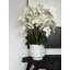 Matte Visage Vase With White Orchids