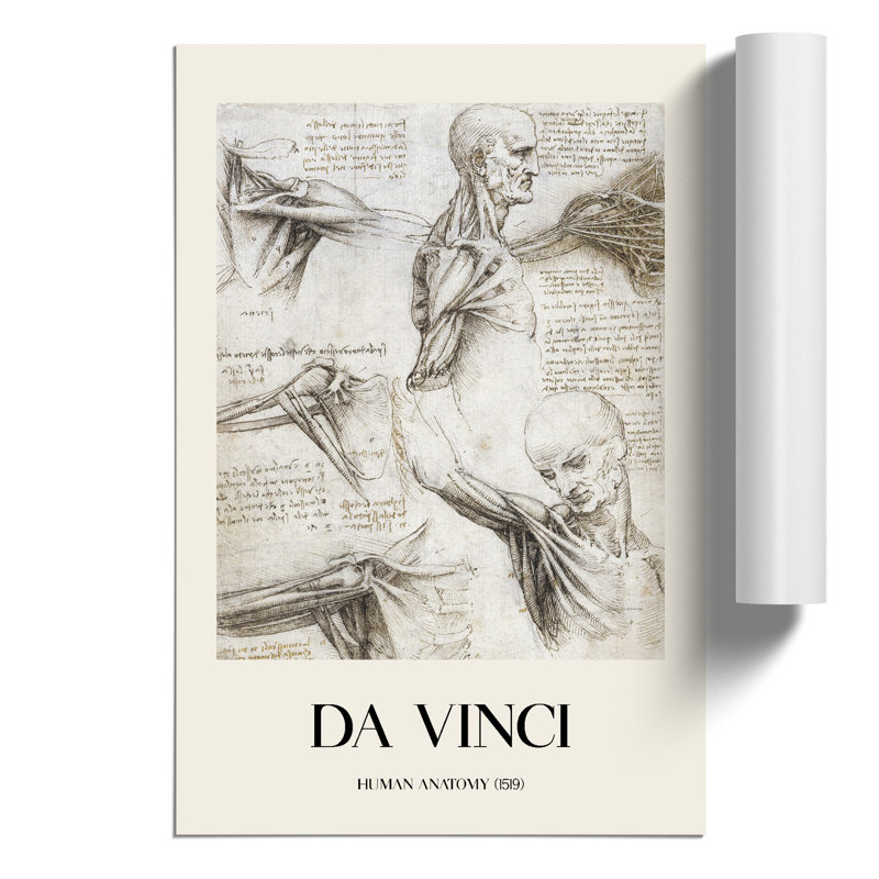 Human Anatomy Print by Leonardo da Vinci - Frameless Print, 30cm H x 21cm W x 0.1cm D