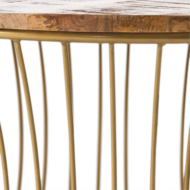 Natural Mango Wood and Gold Round Coffee Table with Storage