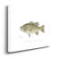 « Large-Mouthé Black Bass », impression sur toile-58118661