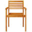 Paizlee Outdoor Lounge Chair
