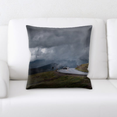 Weinberger Microsuede Throw Pillow