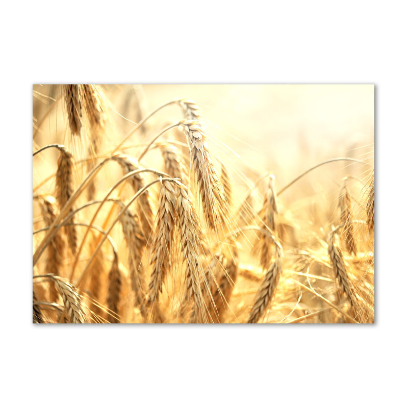 Grain - Wrapped Canvas Print