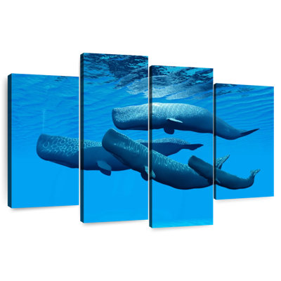 Brampt Sperm Whale Pod