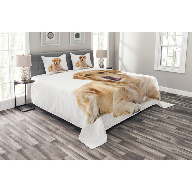 Adhamh White/Brown Microfibre Bedspread Set, 220 x 264 cm Bedspread - 2 Shams