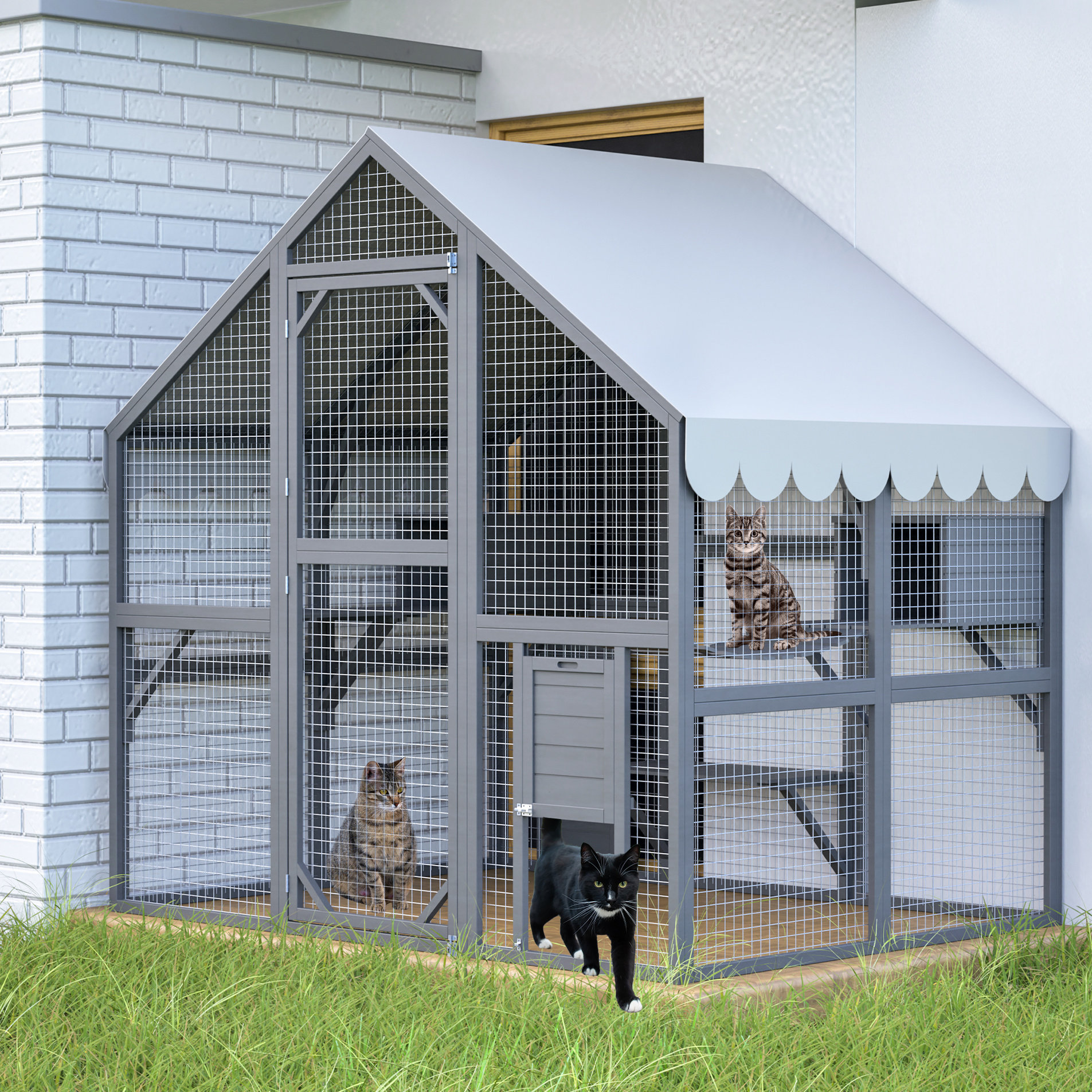 Tucker Murphy Pet™ Extra Spacious Cat Cattery With Climbing Ramp And 2 ...