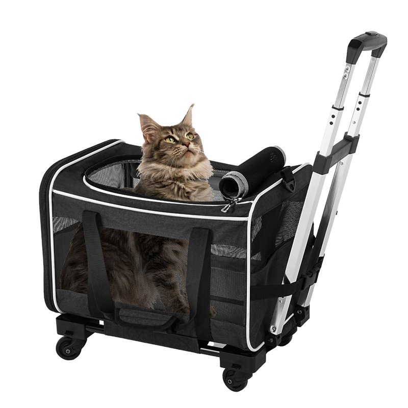 Pet Carrier