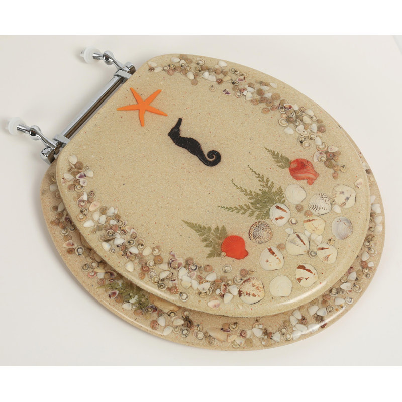 Siège de toilette rond en acrylique