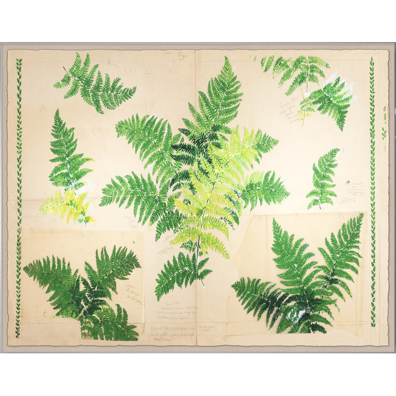 Fern Print by Paule Marrot, Acrylic Box, 44" H x 56" W x 1.25" D