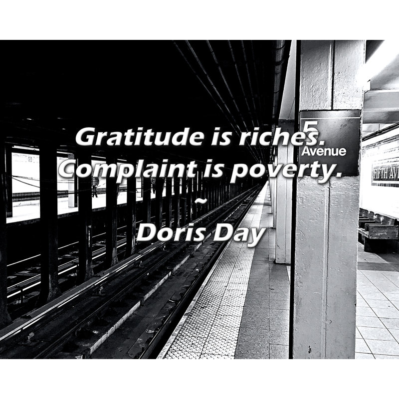 Citation de Doris Day: La gratitude, c'est la richesse. La plainte est la misère.