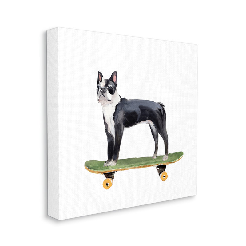 Curieux chien de terroir de Boston sur une planche à roulettes verte, H 24 po x l 24 po, Toile tendue