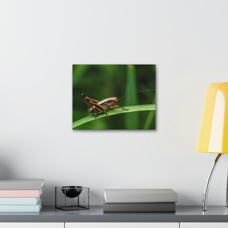 No Frame Print on Canvas, 12cm H x 18cm W