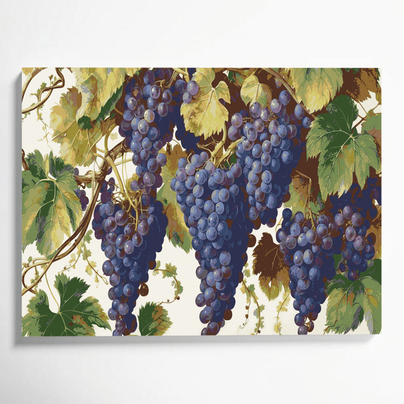Fruit Grape Delaware Purple Canvas Wall Art, 11" H x 14" W