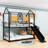 Padmukh Twin Over Twin Metal Bunk Bed With Slide And Shelves-2081196837