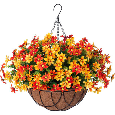 Daisy Arrangement
