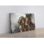 «Native American Woman and Horse», reproduction d'art sur toile-782568369