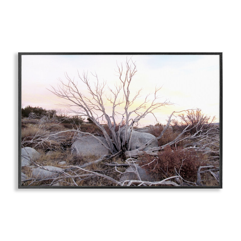 Estampe numérique Rocky Foothills, conçue par Gemma Bardot, H 12 po x l 18 po, Giclée encadrée noir minuit