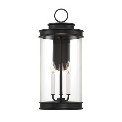 Benioff 2-Light Outdoor Wall Lantern