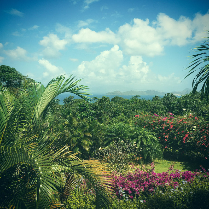 Carribean Island View - Wrapped Canvas Print, 51cm H x 51cm W x 3.8cm D