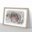 Pink Rose Flower Vol.3 - Picture Frame Drawing-62804211-62804210