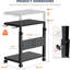 2 Tier Plant Stand