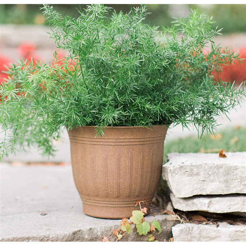 Eimy Pot Planter, 7.5" H x 8" W x 12" D, Brown